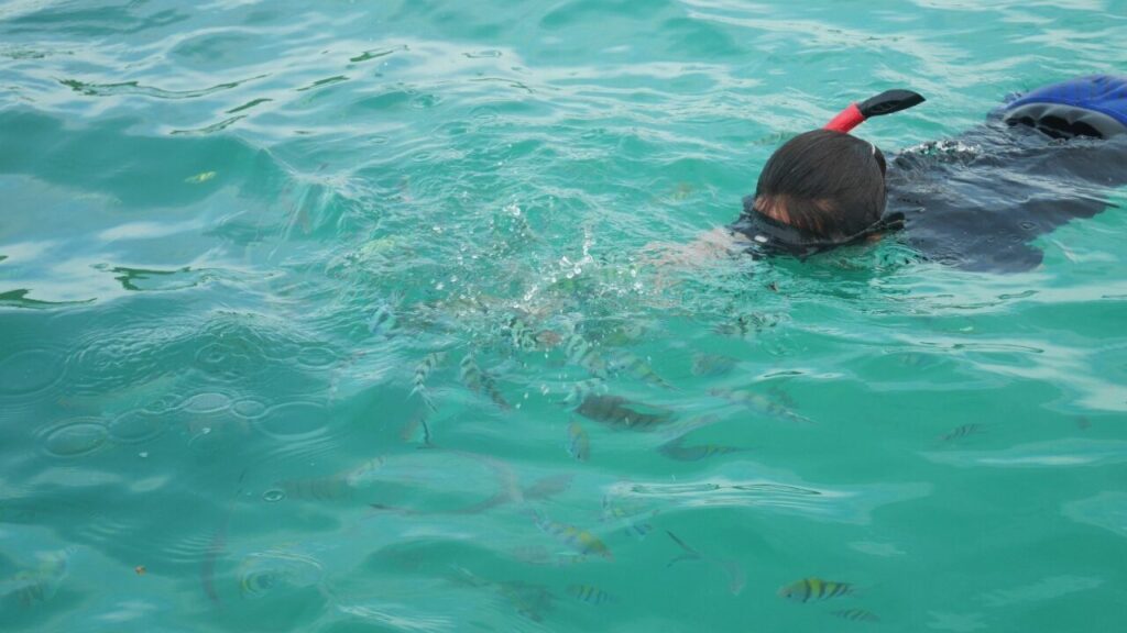 ทริปดำน้ำเกาะแตน เกาะมัดสุม (เกาะหมู) แบบเช่าเหมาเรือหางยาว หรือ Speed Boat เริ่มต้นที่ 2,700 – 9,000 บาท ขึ้นอยู่ที่จำนวนท่านที่ร่วมเดินทาง