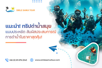 แนะนำ! ทริปดำน้ำสมุย แบบประหยัด สัมผัสประสบการณ์การดำน้ำในราคาสุดคุ้ม!